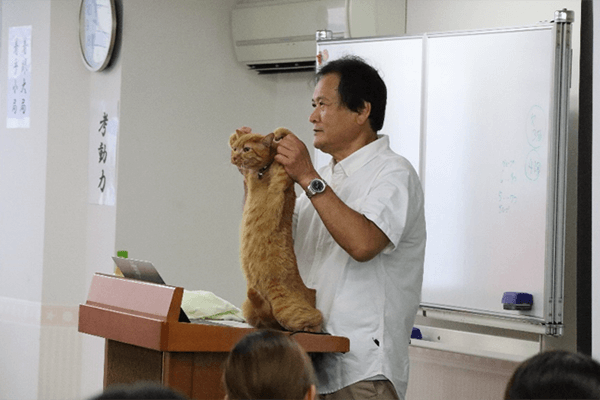 総合猫学